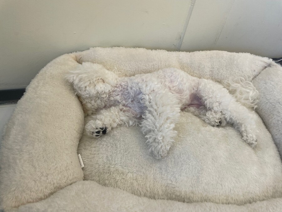 벌써 1년~~_15.jpg