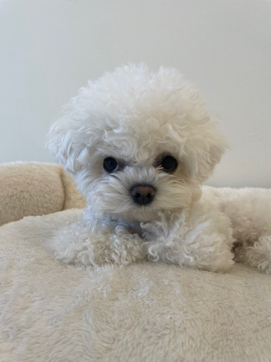 벌써 1년~~_16.jpg