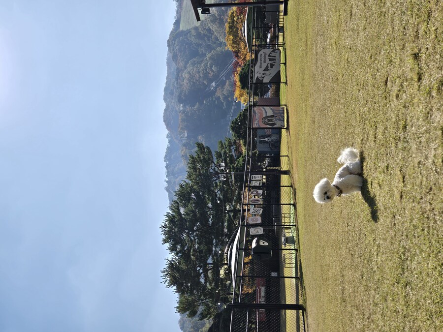 벌써 1년~~_24.jpg