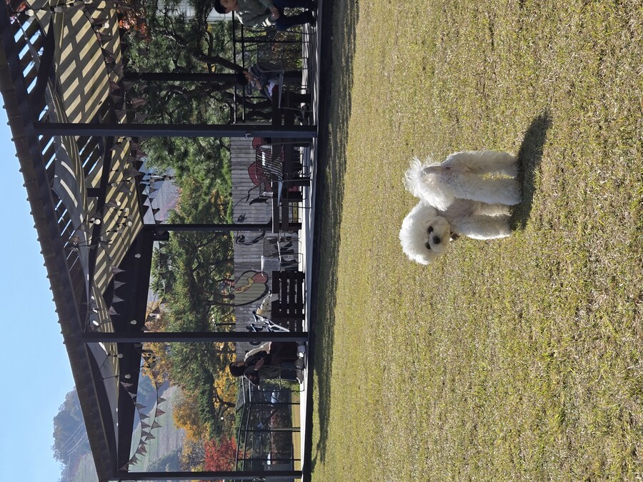 벌써 1년~~_25.jpg