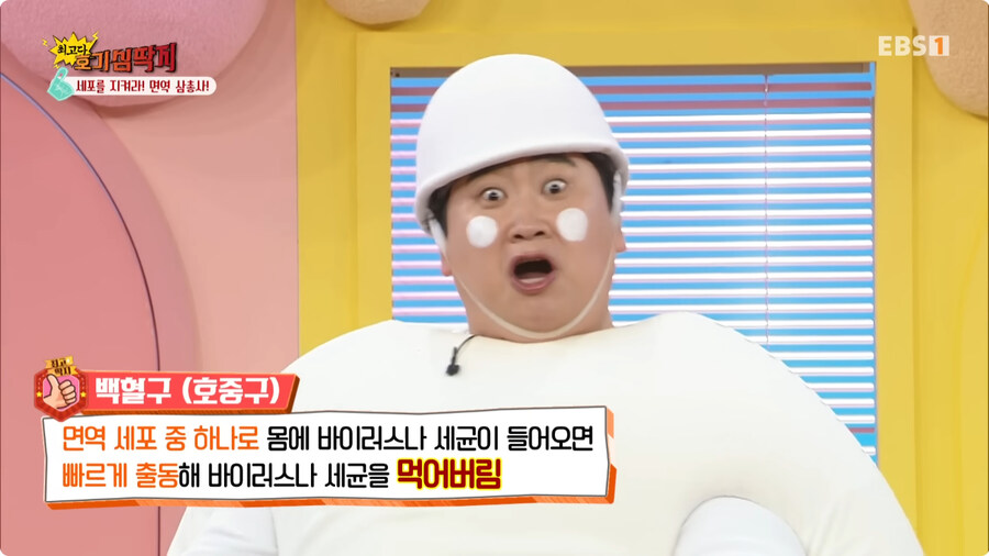 한국판 일하는 세포.jpg_3.jpg