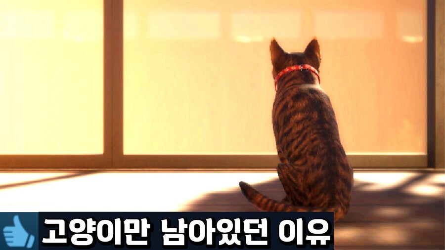 [공포게임] 고양이 시점에서 버려진 집을 탐험하는 공포게임_1.jpg