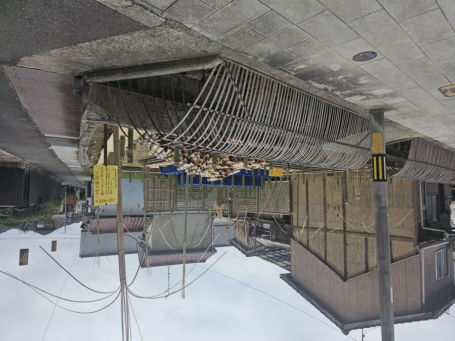 만성소화불량자의 8박9일 히로시마 여행 3일차 (타케하라1/2)_62.jpg