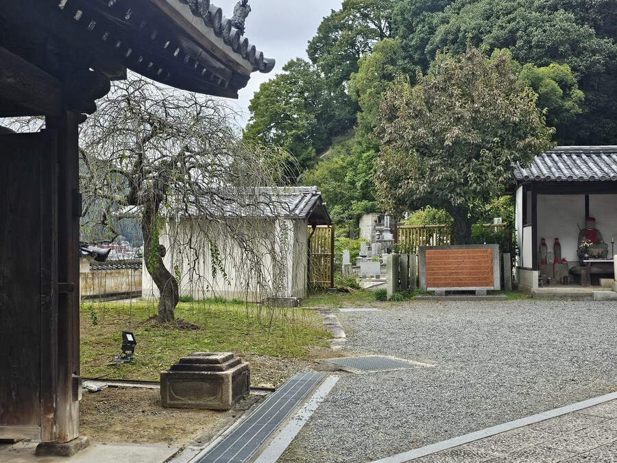 만성소화불량자의 8박9일 히로시마 여행 3일차 (타케하라1/2)_67.jpg