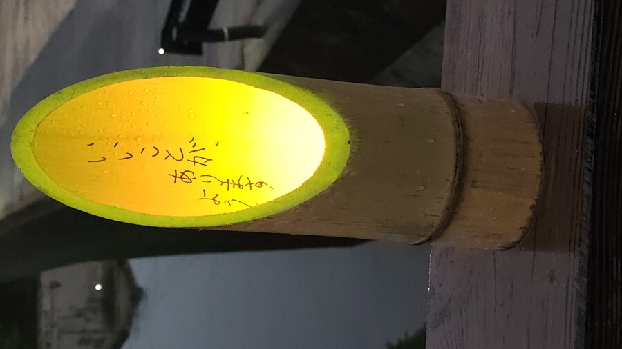 만성소화불량자의 8박9일 히로시마 여행 3일차 (타케하라1/2)_102.jpg