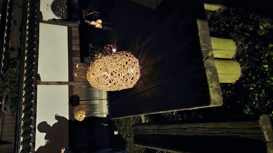 만성소화불량자의 8박9일 히로시마 여행 3일차 (타케하라1/2)_155.jpg