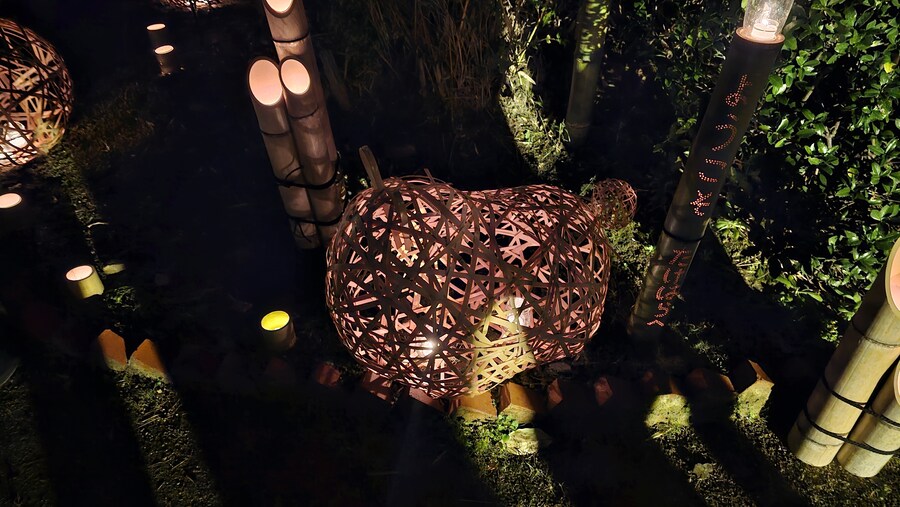 만성소화불량자의 8박9일 히로시마 여행 3일차 (타케하라1/2)_156.jpg