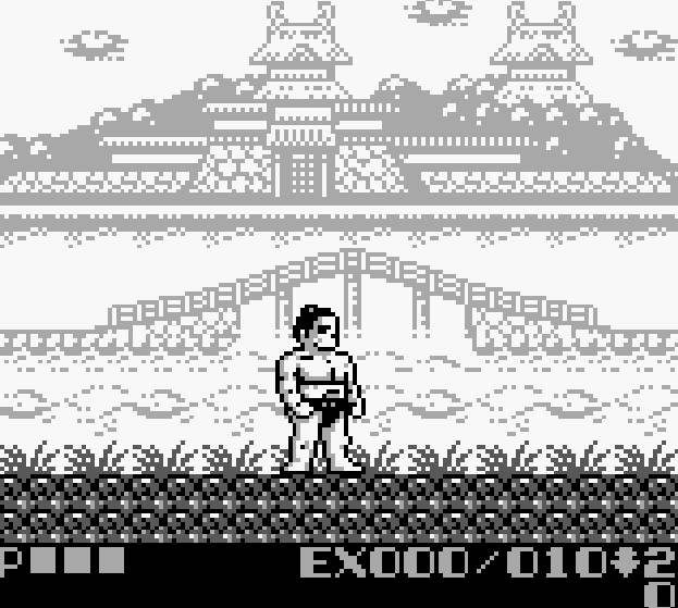 (GB)도카이도 바쇼(북미명 스모파이터)_5.jpg