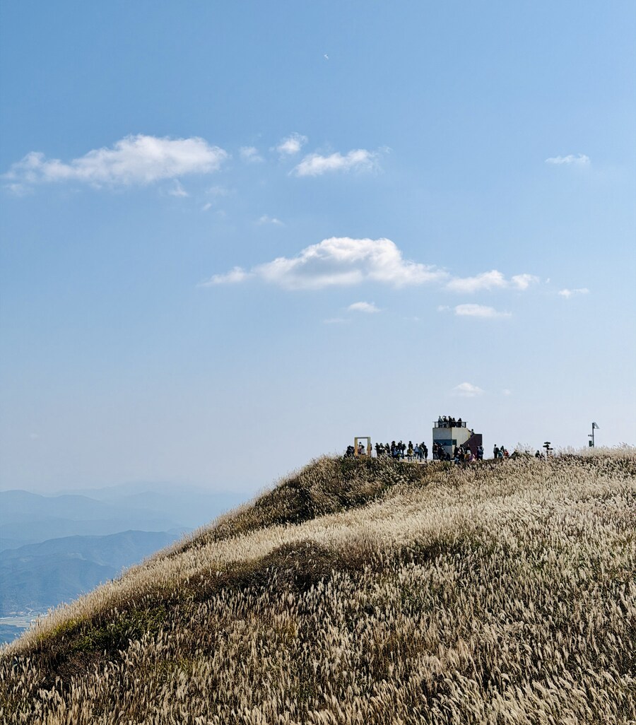 황매산 억새축제_14.jpg