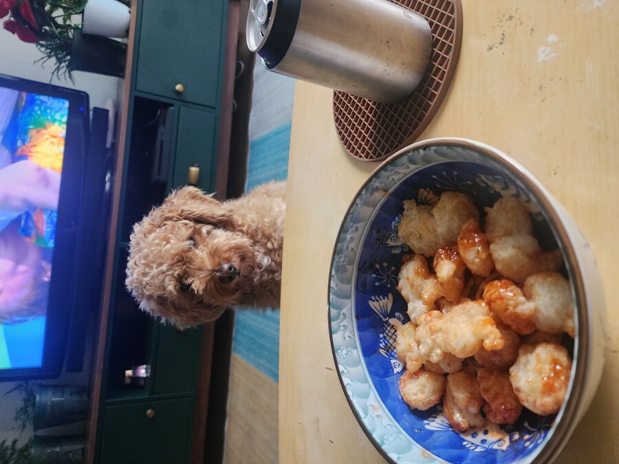 5000원 수육과 자취러 밥상 그리고 개_11.jpg