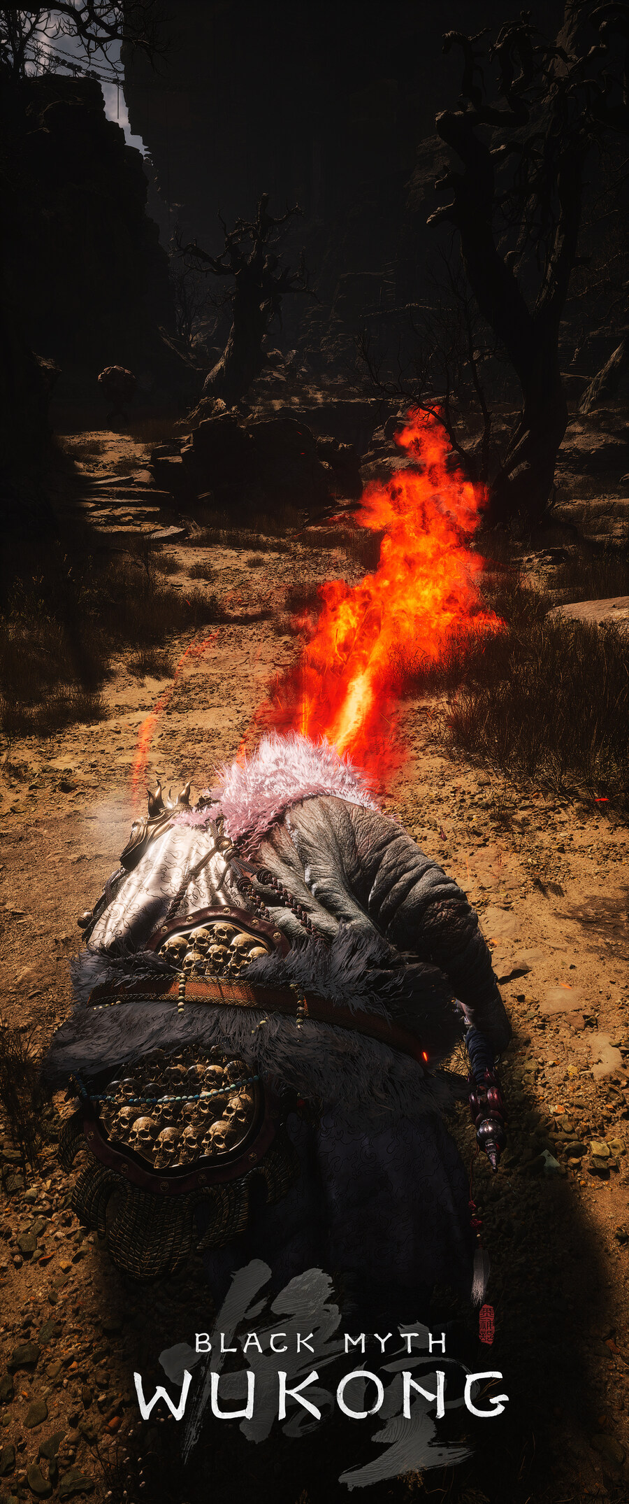 검은 신화: 오공.jpg_14.jpg