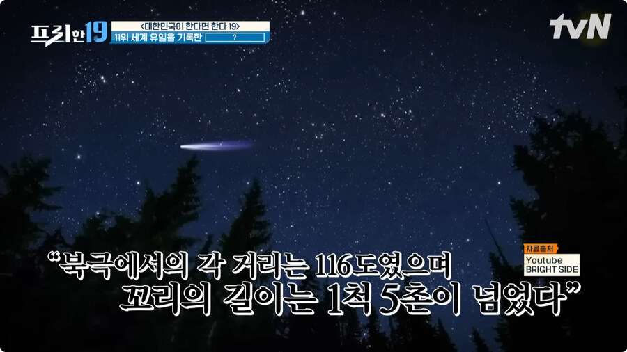 핼리 혜성을 기록한 조선시대 천문학자들.jpg_2.jpg