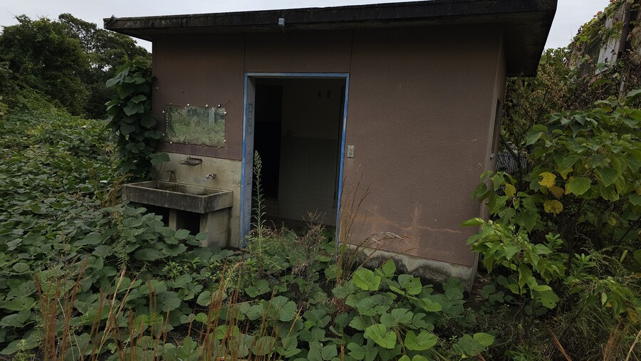 만성소화불량자의 8박9일 히로시마 여행 4일차 (타케하라2/2)_25.jpg