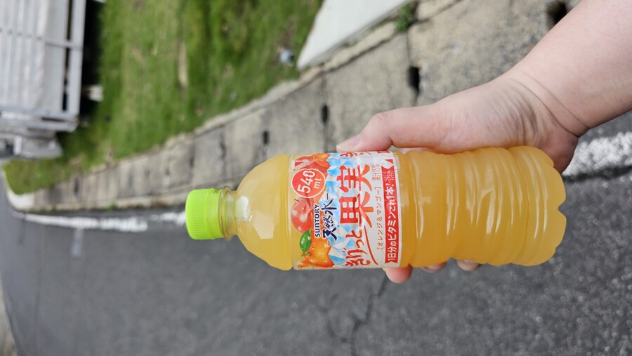 만성소화불량자의 8박9일 히로시마 여행 4일차 (타케하라2/2)_57.jpg