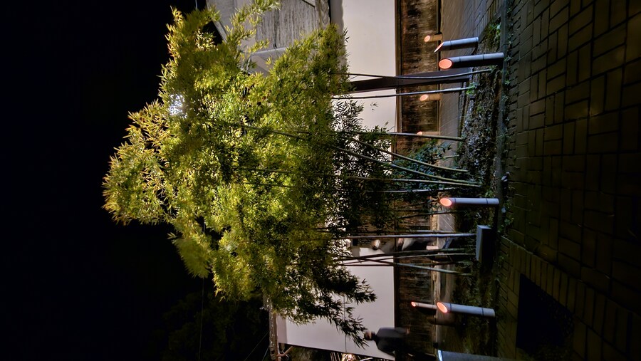 만성소화불량자의 8박9일 히로시마 여행 4일차 (타케하라2/2)_90.jpg