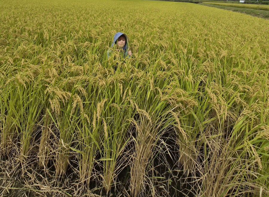 성우) 누군가에겐 말딸 떼이오 누군가에겐 @ 츠바사 의_4.jpg
