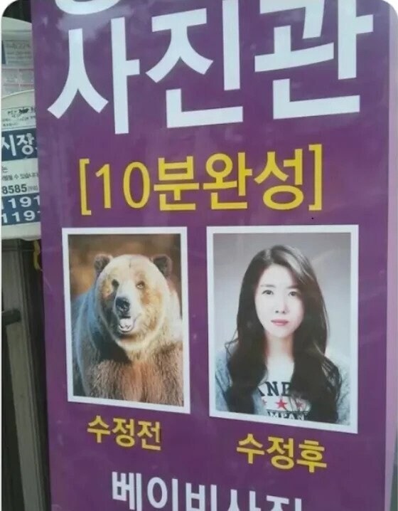 일본에 필요한 곰퇴치 방법_1.jpg