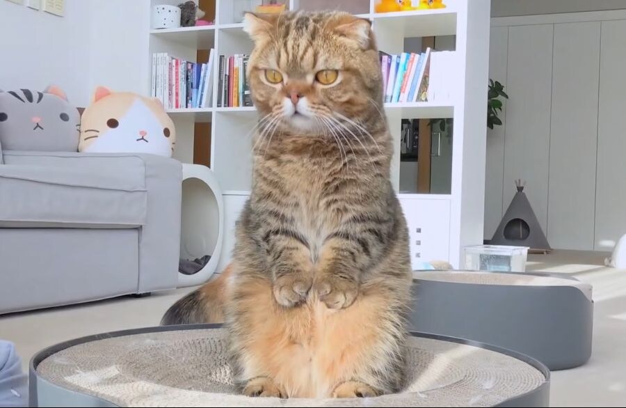 질문은 댓글로_1.jpg