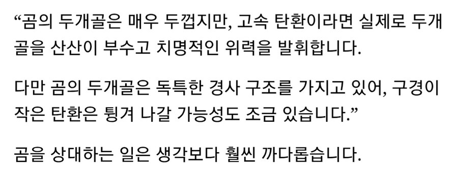 곰 사냥이 어려운 이유_1.jpg