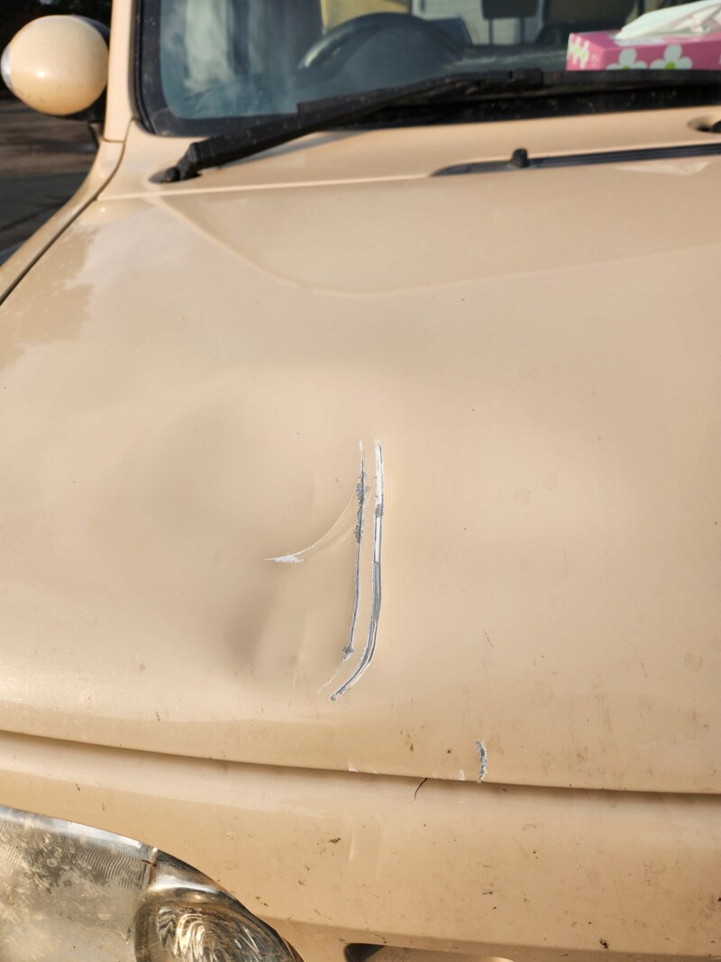 일본) 운전 중 큰 곰과 맞닥트린 사람_1.png