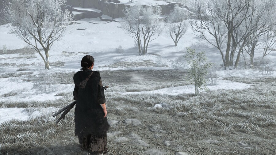 와 여우편 진짜 재밌네요_2.jpg