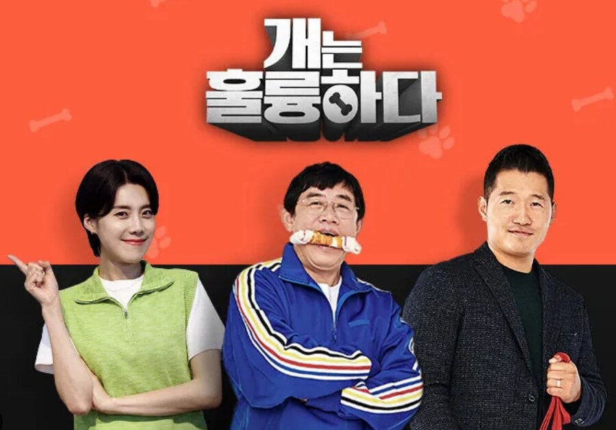 예능) '개는 훌륭하다' 강형욱 하차하니, 노잼이네 .._1.jpg