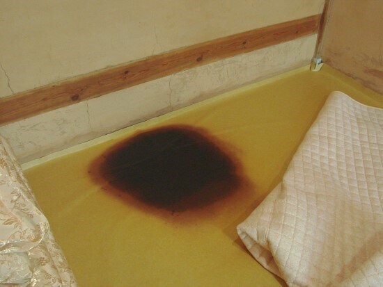 시골집 특징_1.jpg