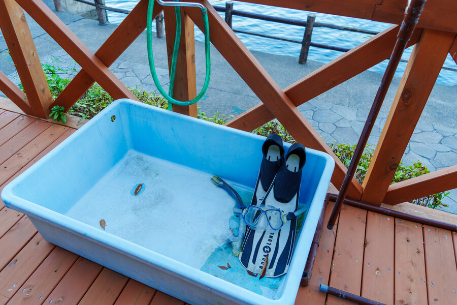 럽라) 누마즈 여행 2일차 - 우치우라 아와시마 마린파크_41.jpg