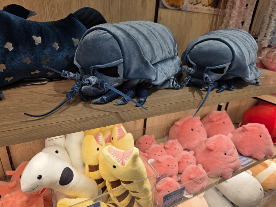 럽라) 누마즈 여행 3일차 - 누마즈항 인근으로_25.jpg