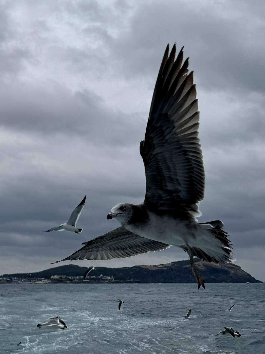 숲을 걷다 만난 좀 큰 친구들_3.jpg