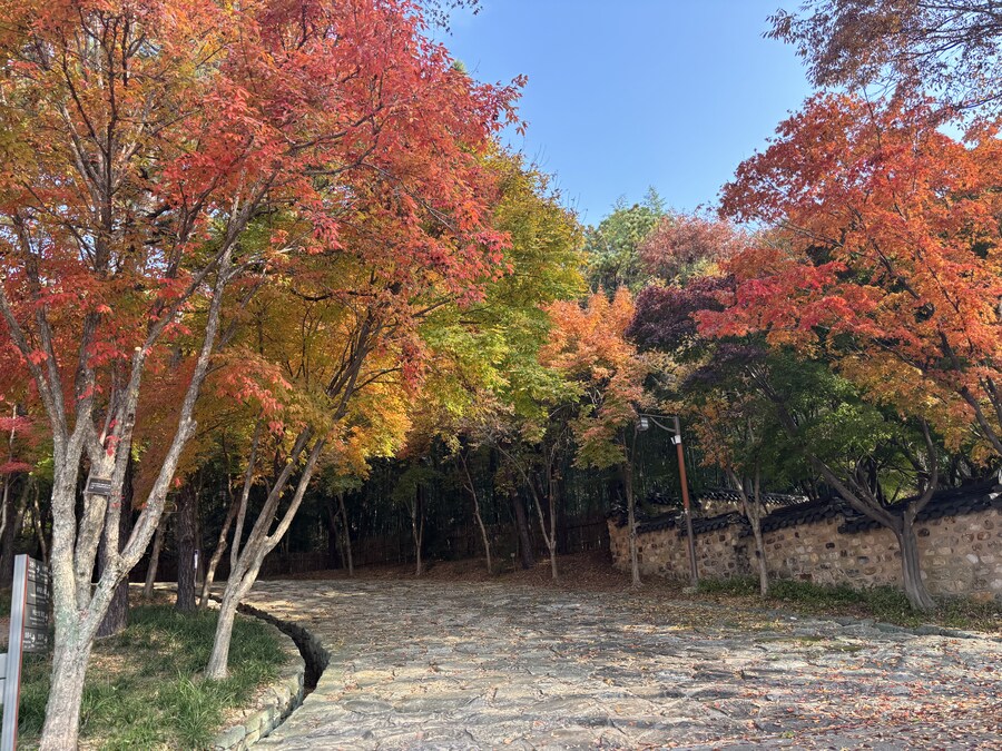 부여 놀러오세용_3.jpg