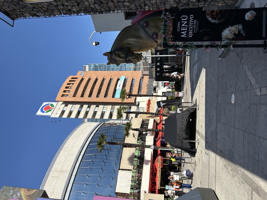 칠레 처갓집 방문기 (1) 1-4일차 : 산티아고_17.jpg