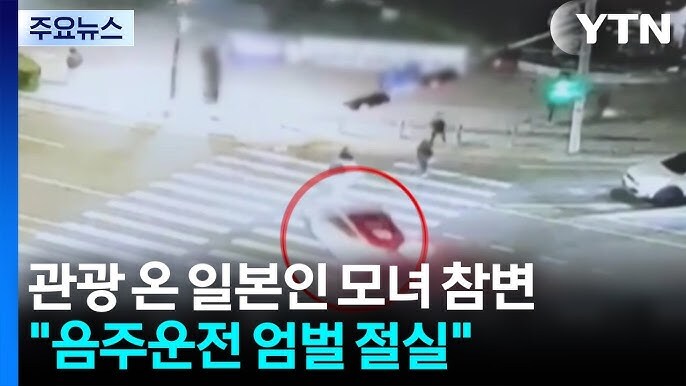 음주운전에 대한 한국과 일본의 실태 비교 및 고찰_6.jpg