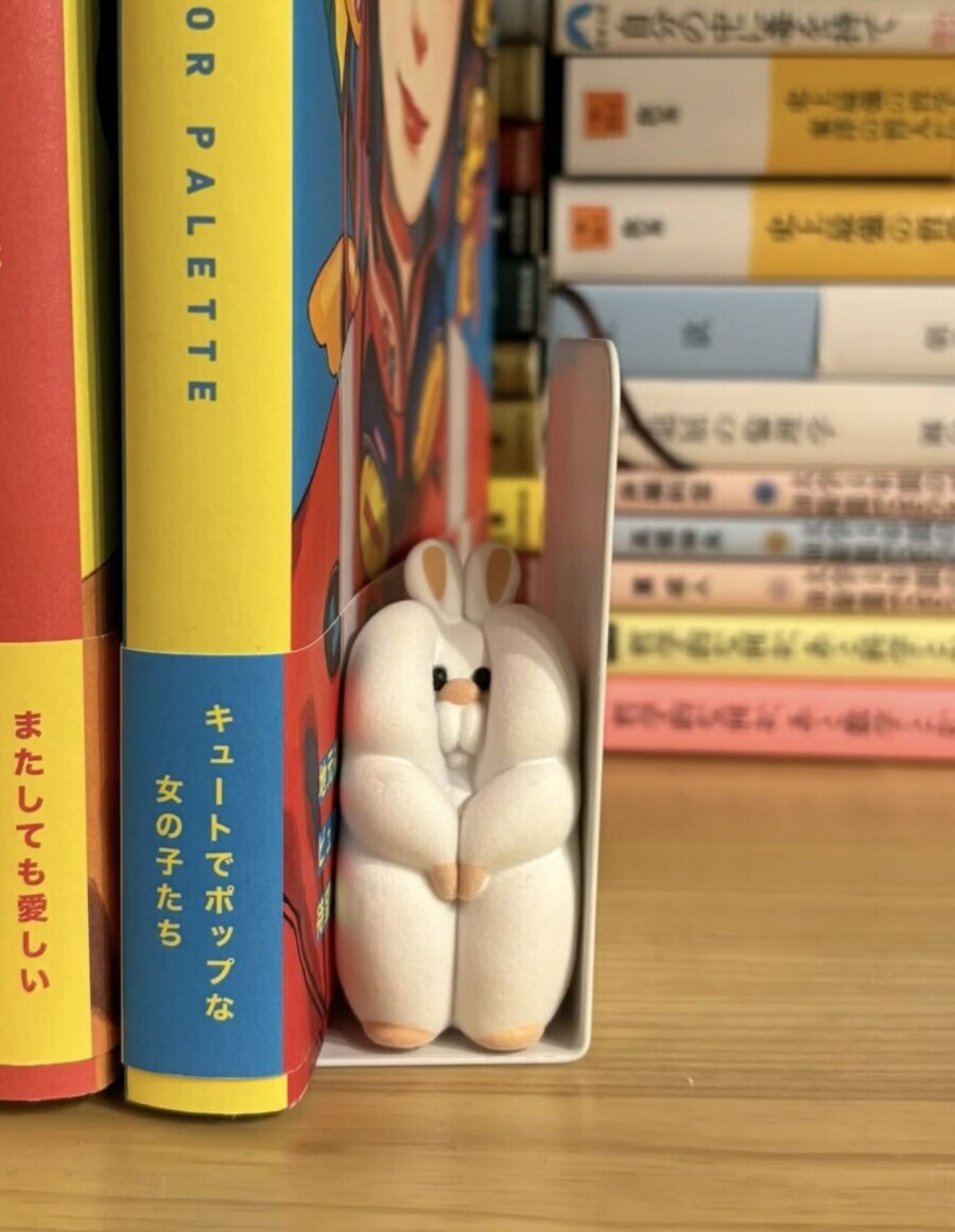 리노아가 필요한 굿즈_2.jpg