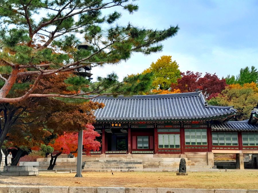 5대 궁궐의 가을 (사진많음)_4.jpg