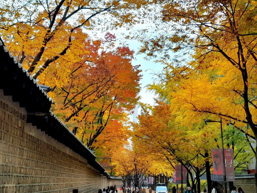 5대 궁궐의 가을 (사진많음)_5.jpg