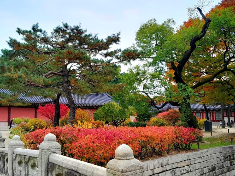 5대 궁궐의 가을 (사진많음)_16.jpg