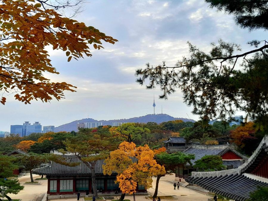 5대 궁궐의 가을 (사진많음)_20.jpg