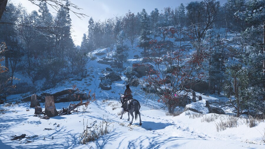 Assassin's Creed® Shadows_2.jpg