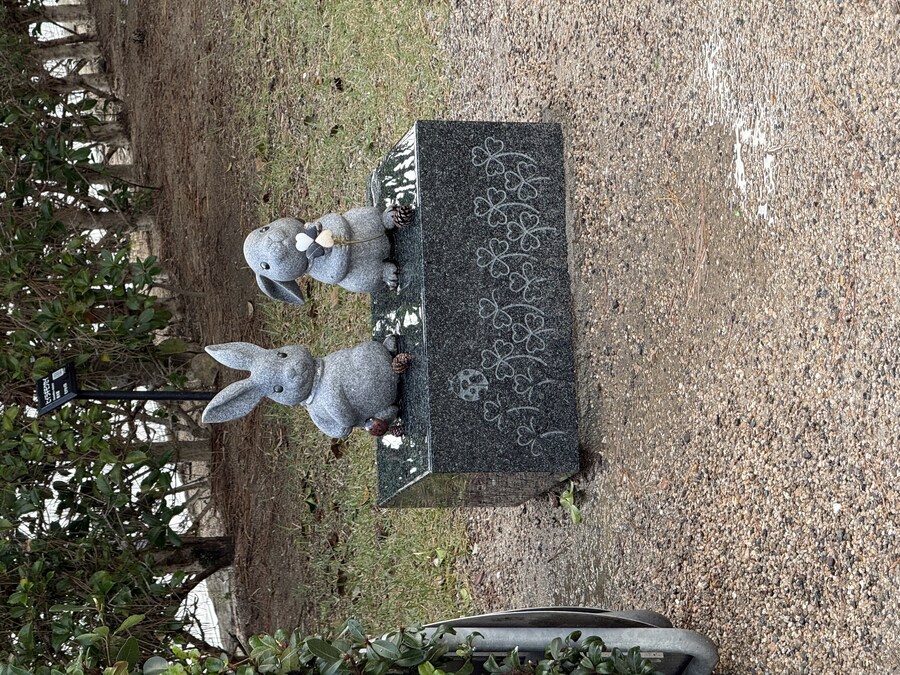 11월 2~7 5박6일 돗토리 요나고 여행 2일차 마쓰에.(스압)_13.jpg