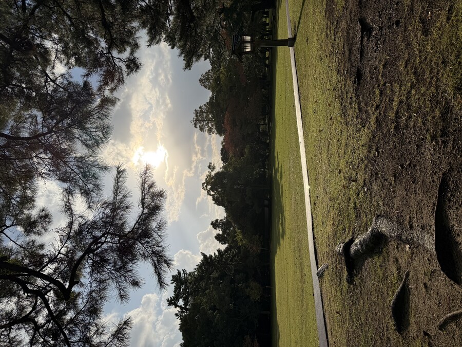 11월 2~7 5박6일 돗토리 요나고 여행 2일차 마쓰에.(스압)_19.jpg