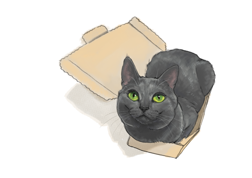 남의집 고양이 보고가이소_1.png