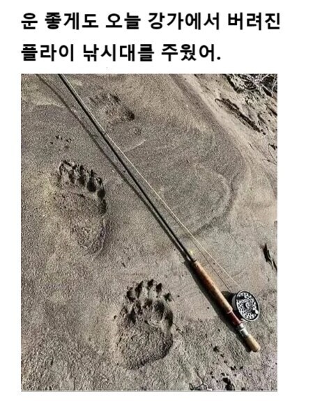 운좋게 강가에 버려진 낚싯대_1.jpg