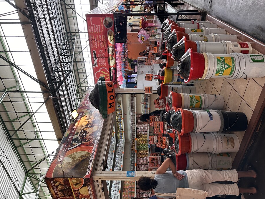 멕시코 미식의 도시 와하카(Oaxaca)_3.jpg