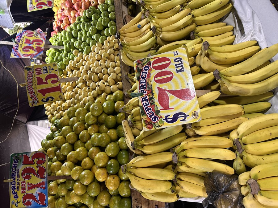 멕시코 미식의 도시 와하카(Oaxaca)_25.jpg