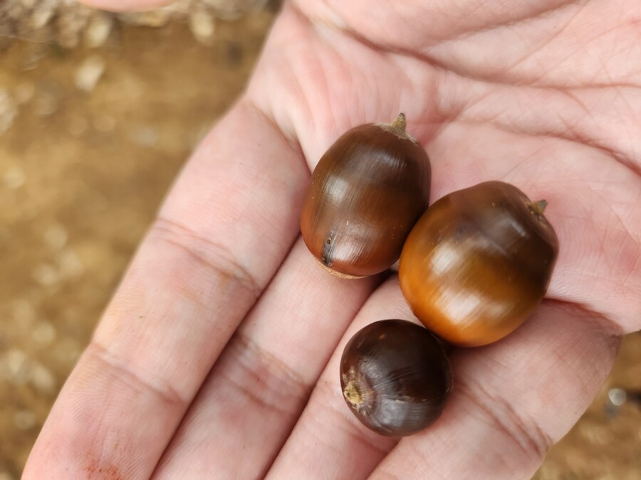 탐식의 시간(막창 외)_6.jpg