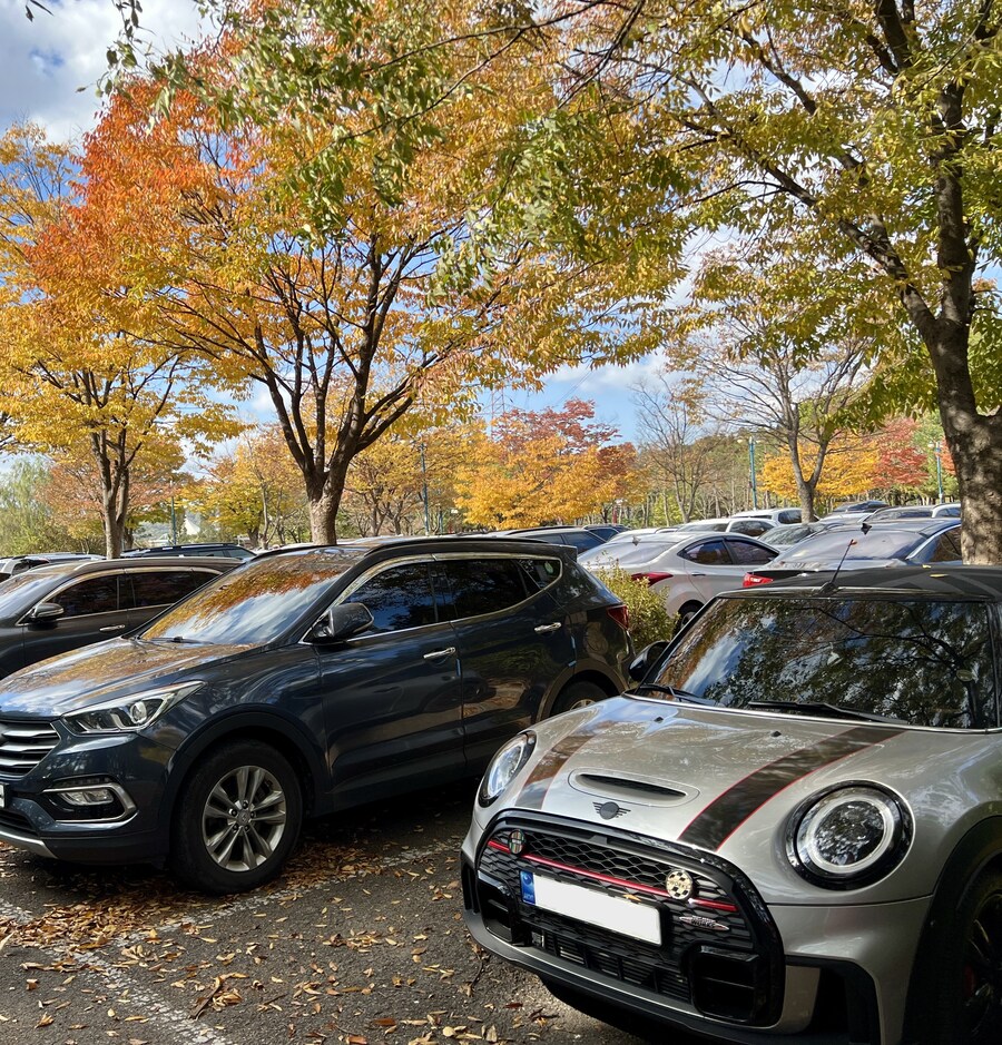 가을 구경_11.jpg