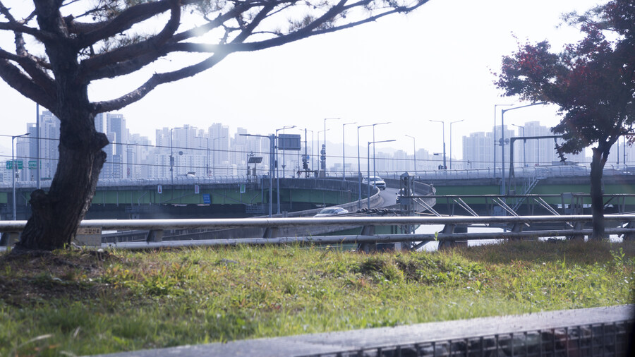 드라이브중 본 지나간곳 , '서빙고로' [사진만]_2.jpg