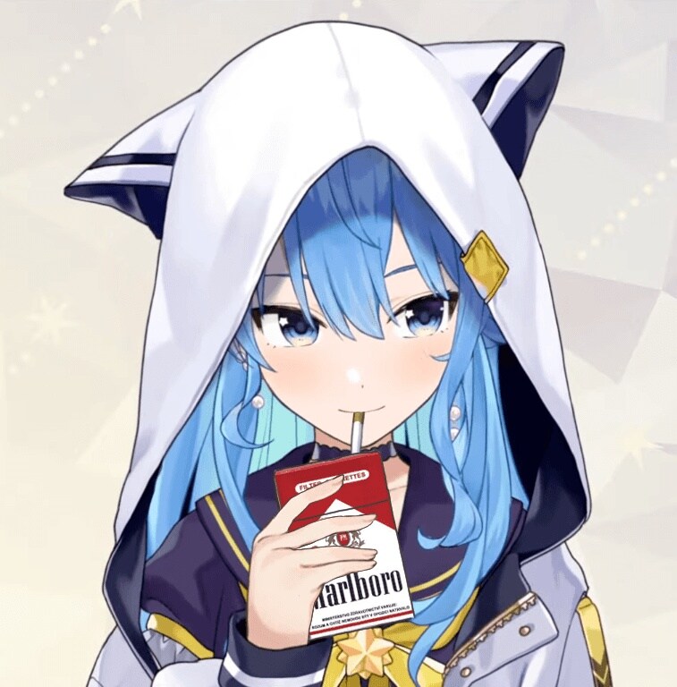 버튜버) 스이쨩이 한번 잃어 버렸던_1.jpg