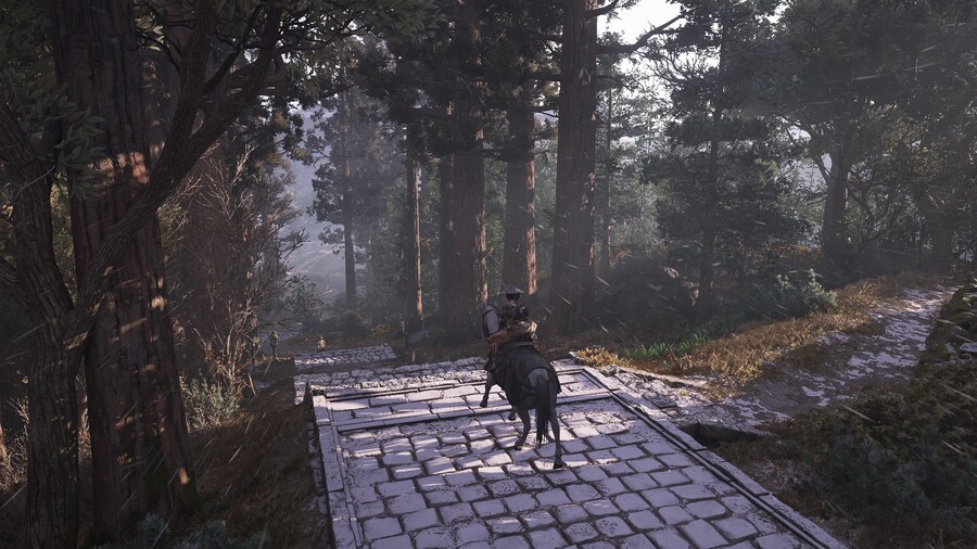 Assassin's Creed® Shadows_14.jpg